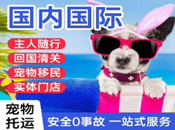 长治王村机场托运国际宠物托运 【国